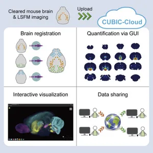CUBIC-Cloud provides an integrative computational framework toward community-driven whole-mouse-brain mapping