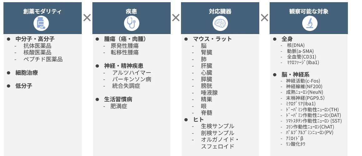 Tissue clearing example